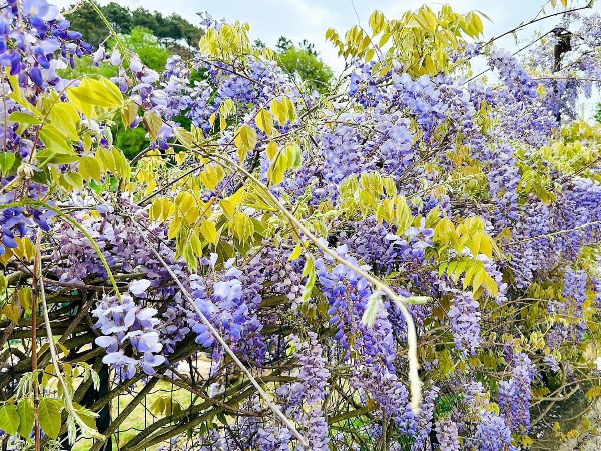 Appartamento Residenza Bertolini Fosdinovo Esterno foto