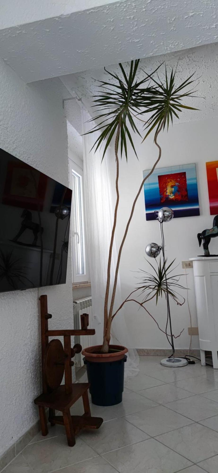 Appartamento Residenza Bertolini Fosdinovo Esterno foto