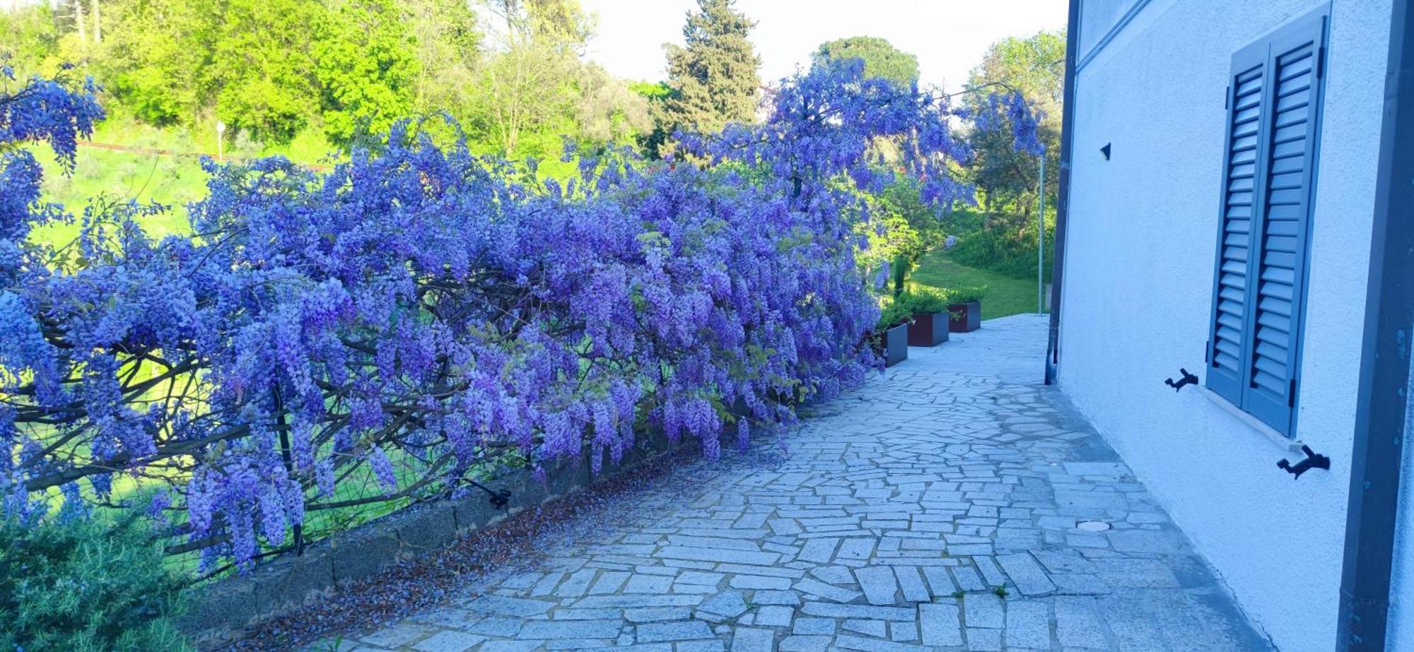 Appartamento Residenza Bertolini Fosdinovo Esterno foto
