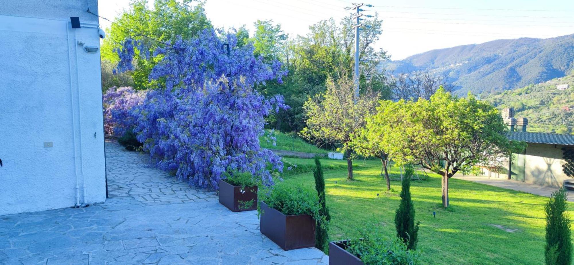 Appartamento Residenza Bertolini Fosdinovo Esterno foto