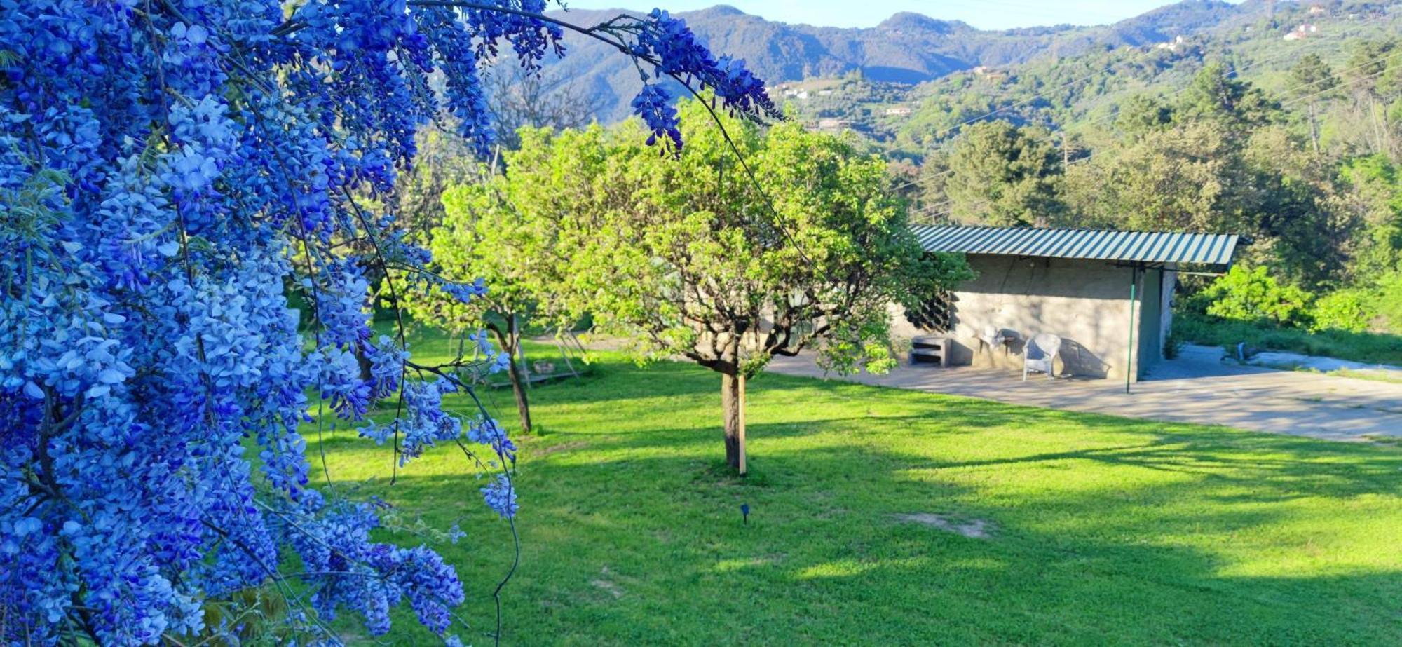 Appartamento Residenza Bertolini Fosdinovo Esterno foto